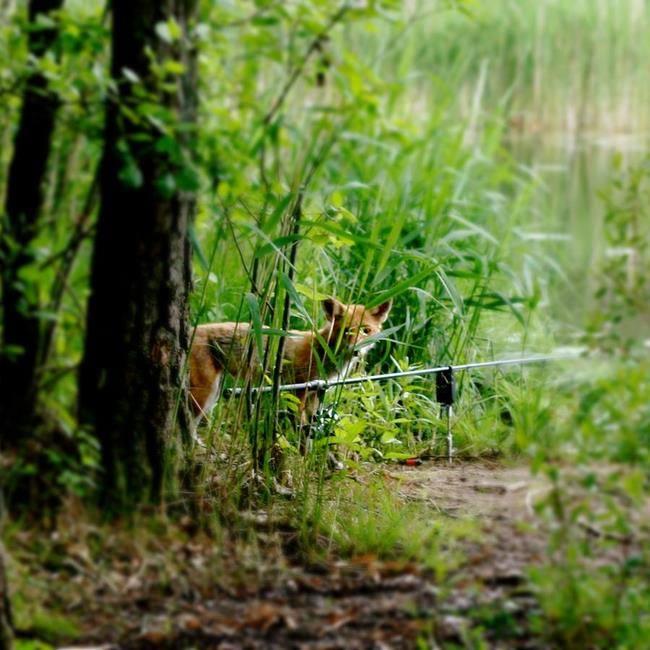 foto bune. - 537265419890658110469392086532n.jpg